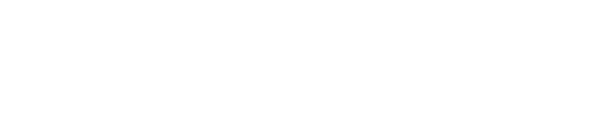 4 Things We Do Best