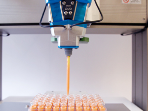 eco-penduoイメージ