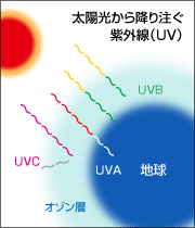 太陽光から降り注ぐ紫外線