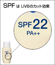 UVカット商品に表示されている「SPF」と「PA」ですが、「SPF」はUVBのカット効果で数値が大きくなるほど効果があります。